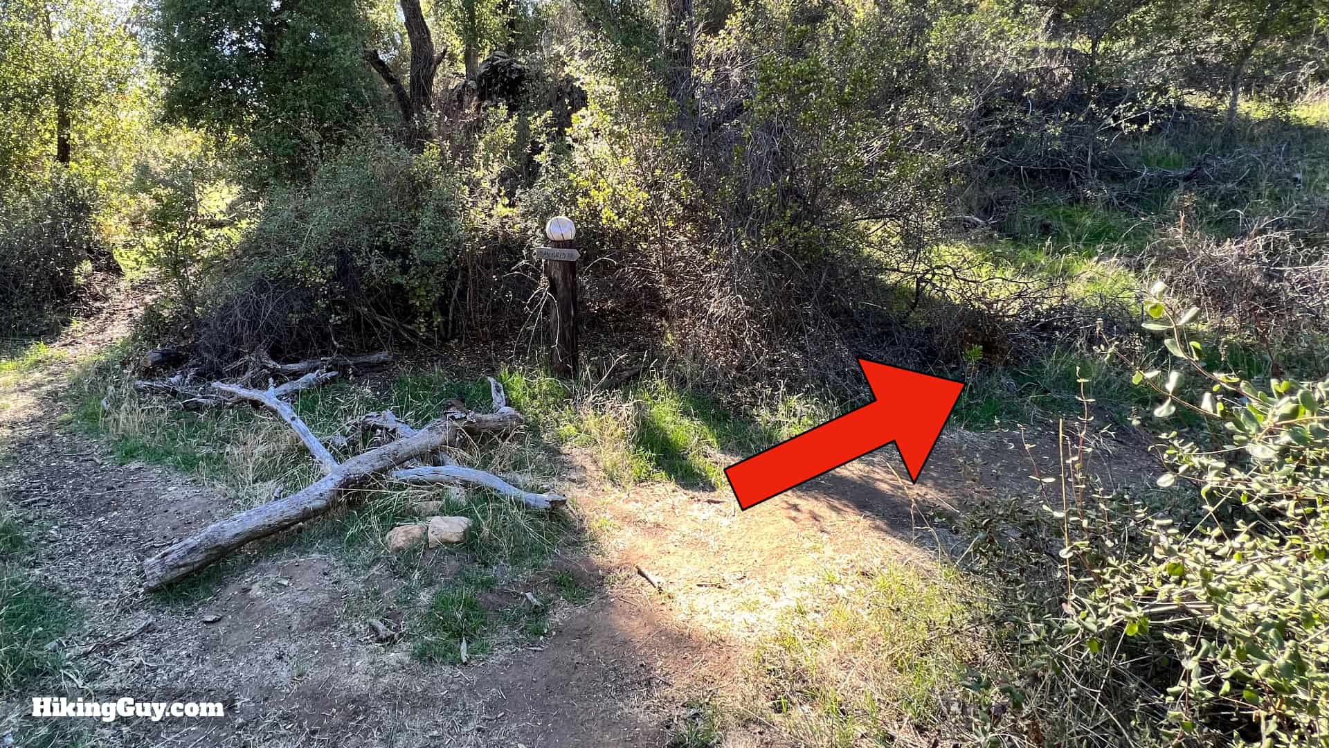 San Mateo Peak Hike Directions 13