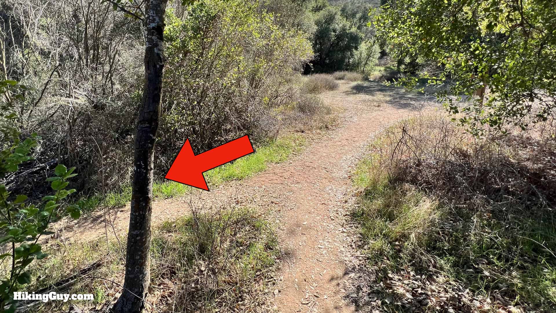 San Mateo Peak Hike Directions 7