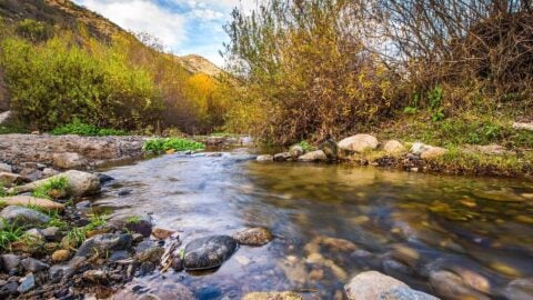 Santa Margarita River Trail