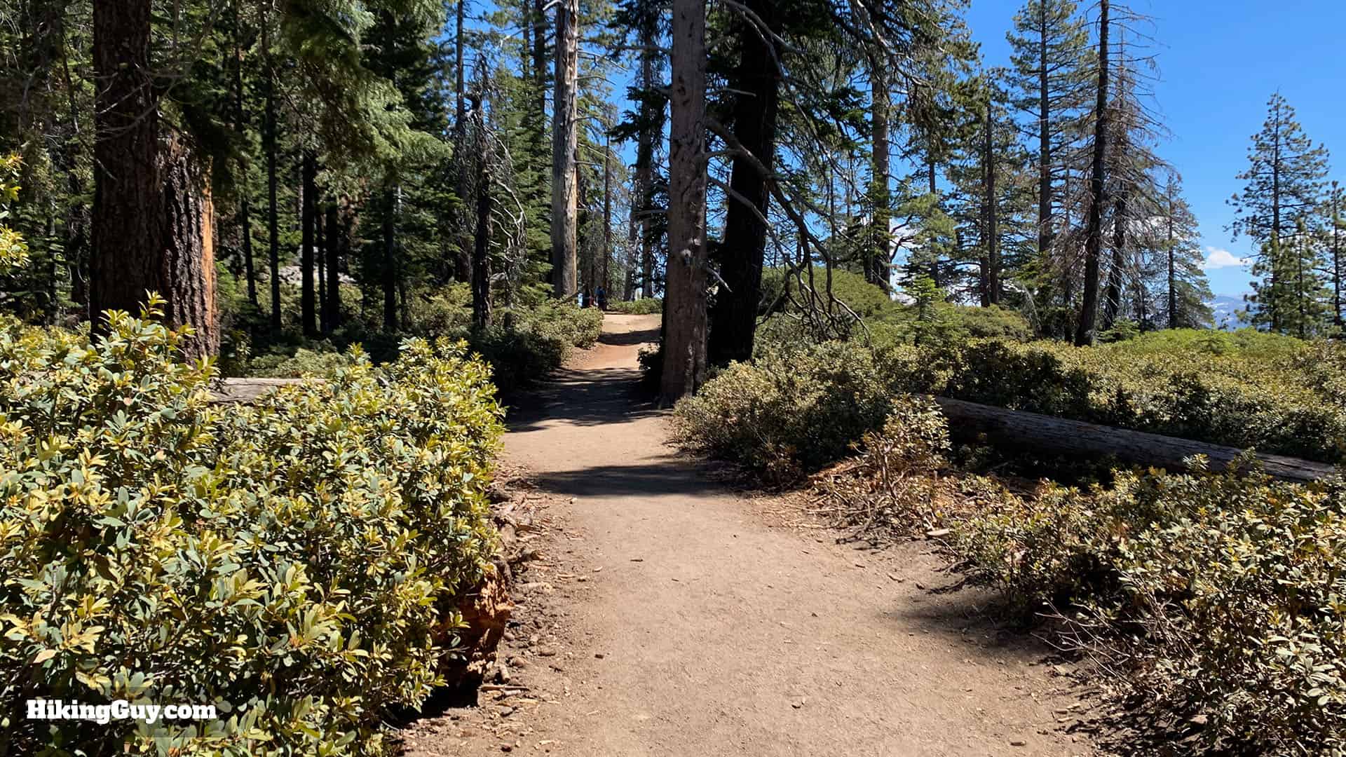 Sentinel Dome Hike Directions 14