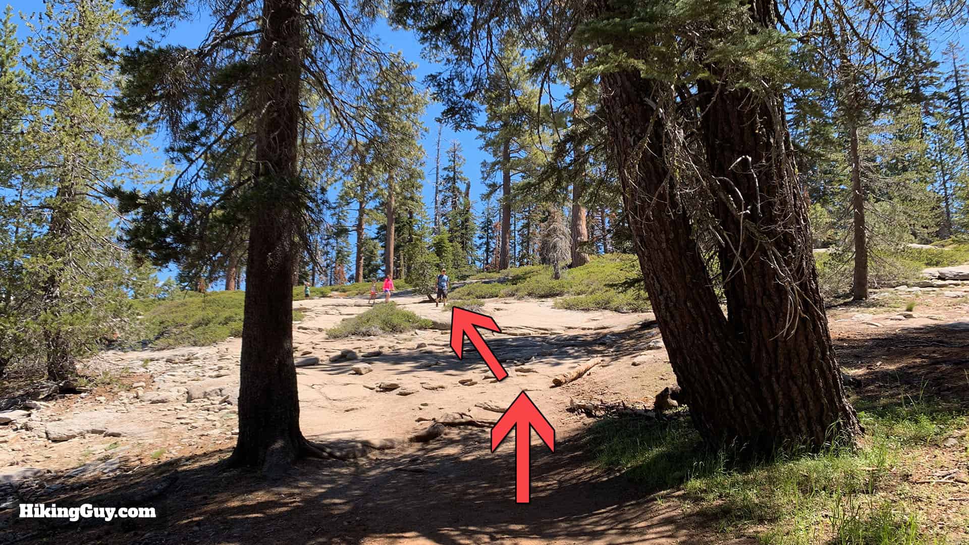 Sentinel Dome Hike Directions 8