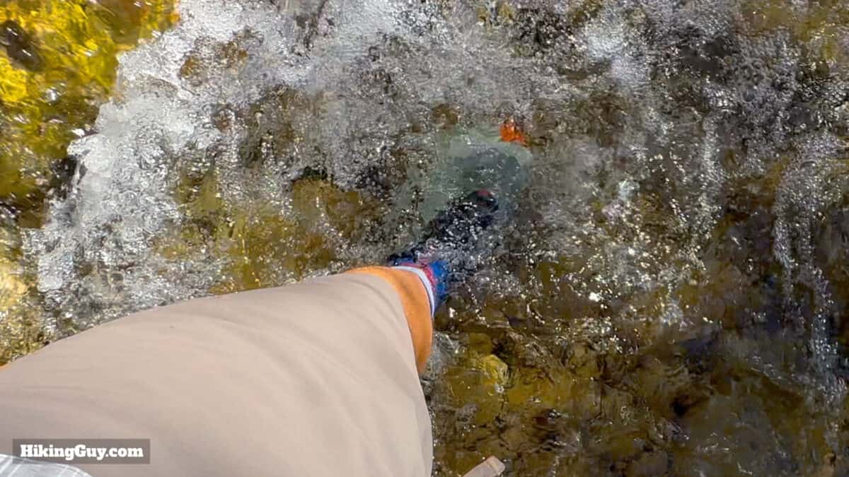 Shoe In Water