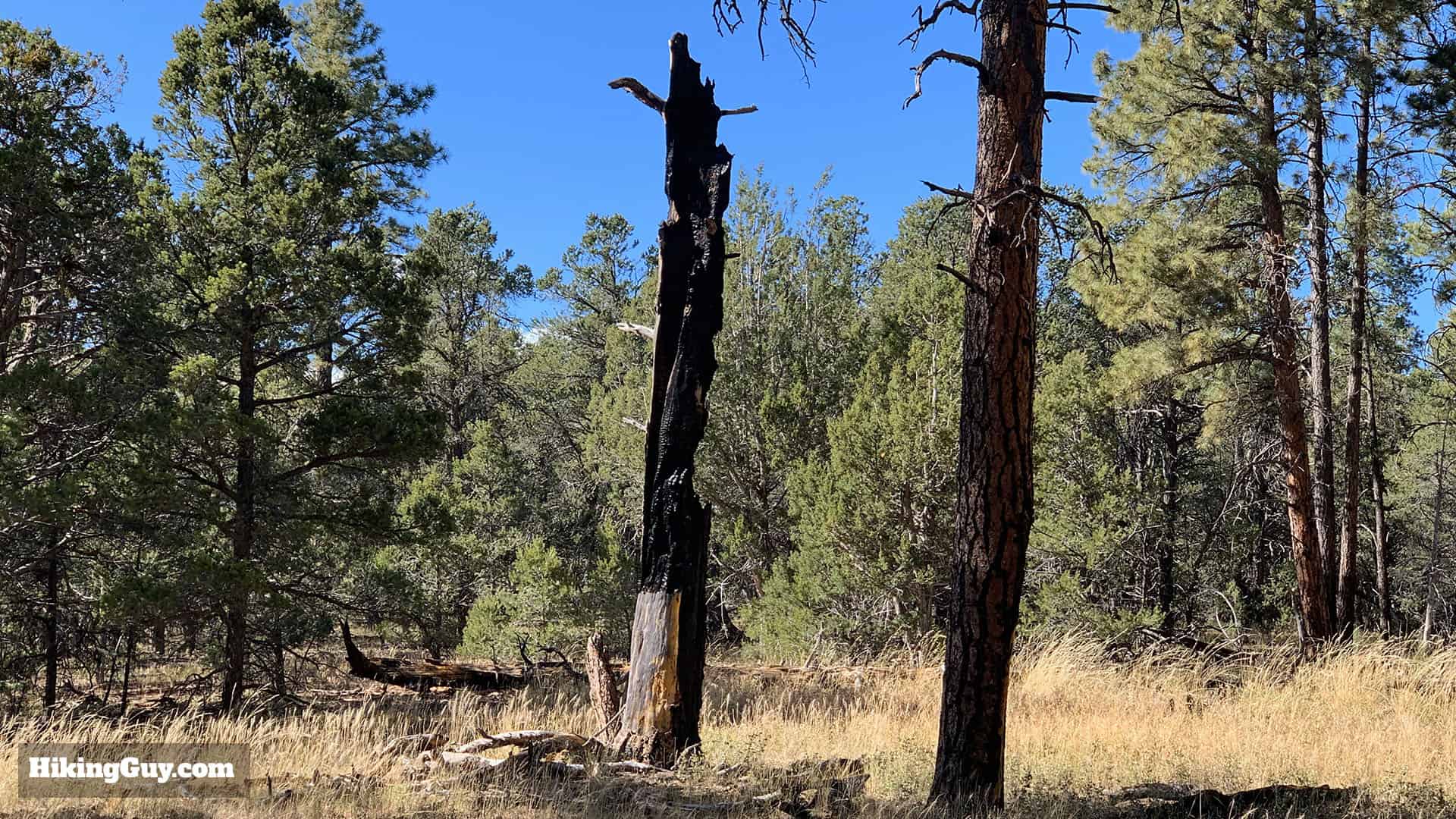 Shoshone Point Trail 5