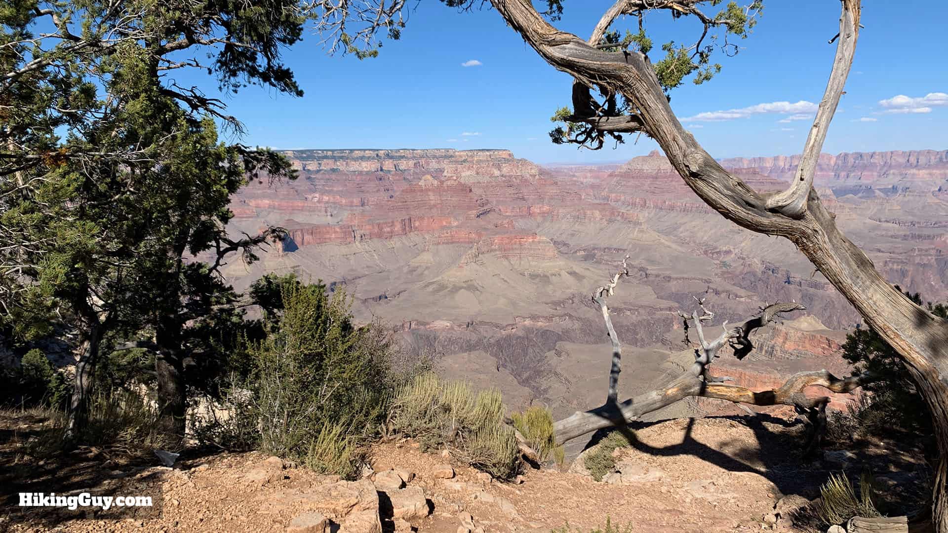 Shoshone Point Trail 8
