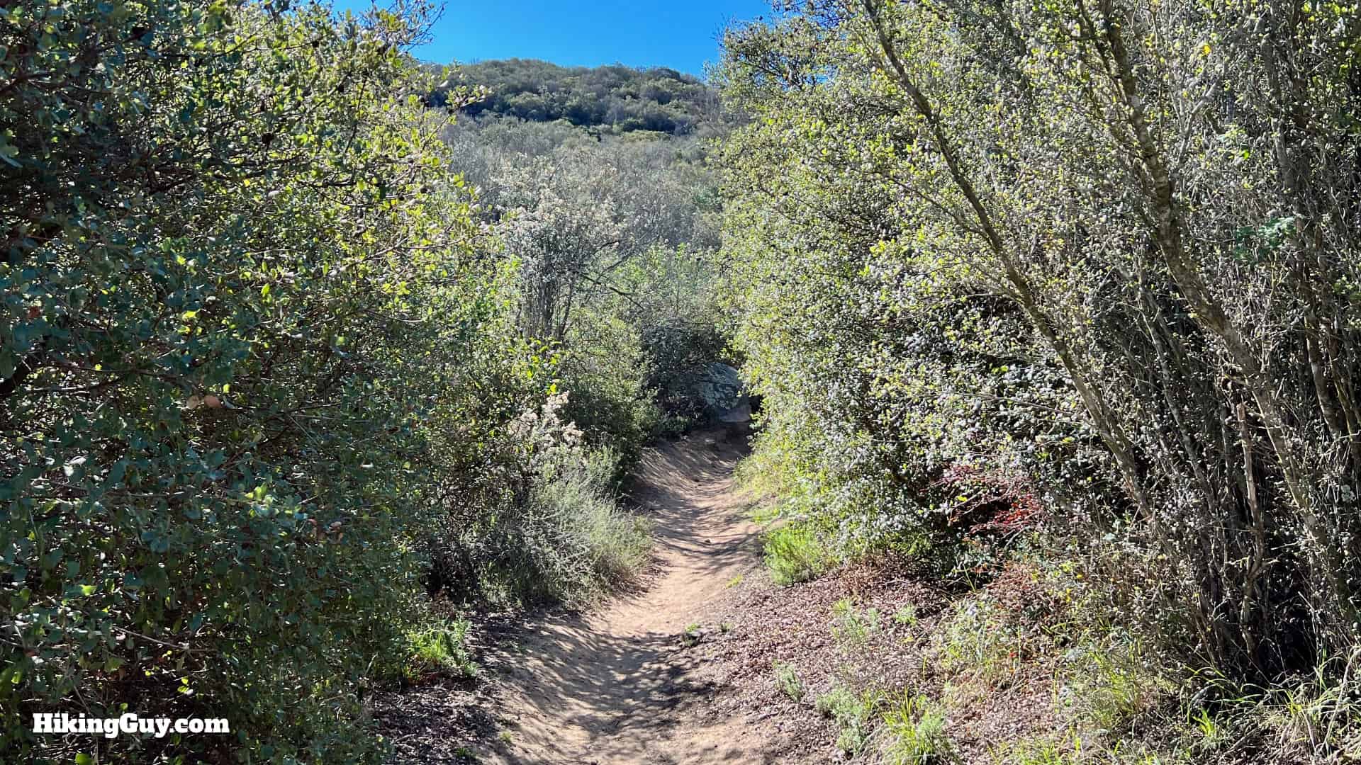 Sitton Peak Hike Update 12