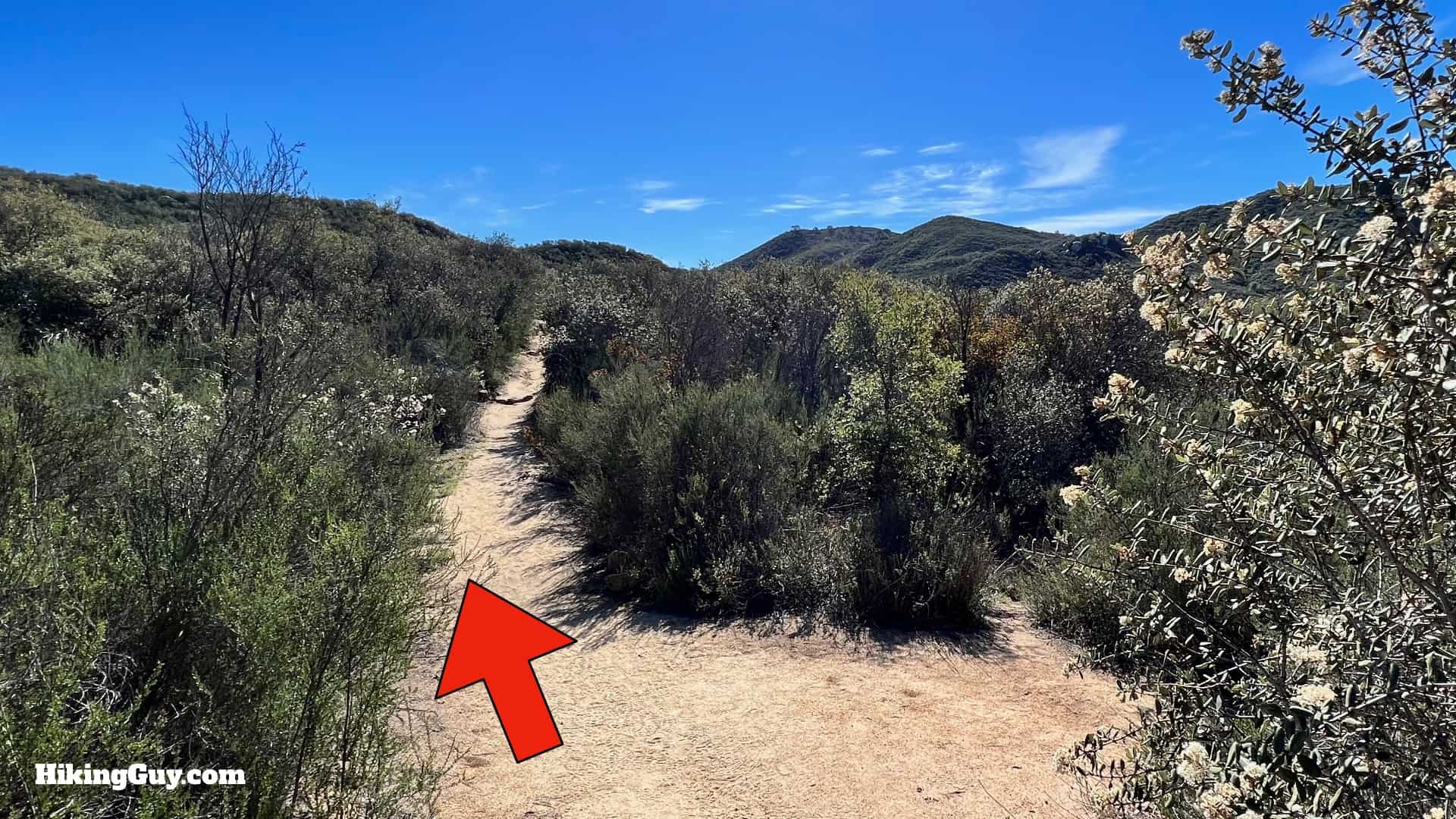 Sitton Peak Hike Update 14