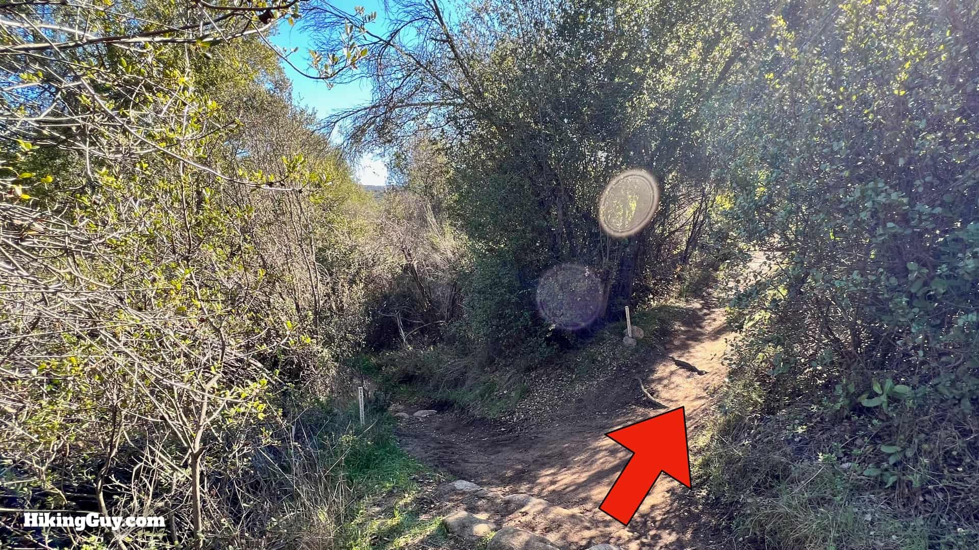 Sitton Peak Hike Update 17