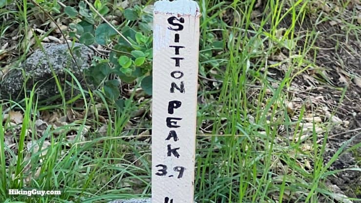 Sitton Peak Hike Update 18
