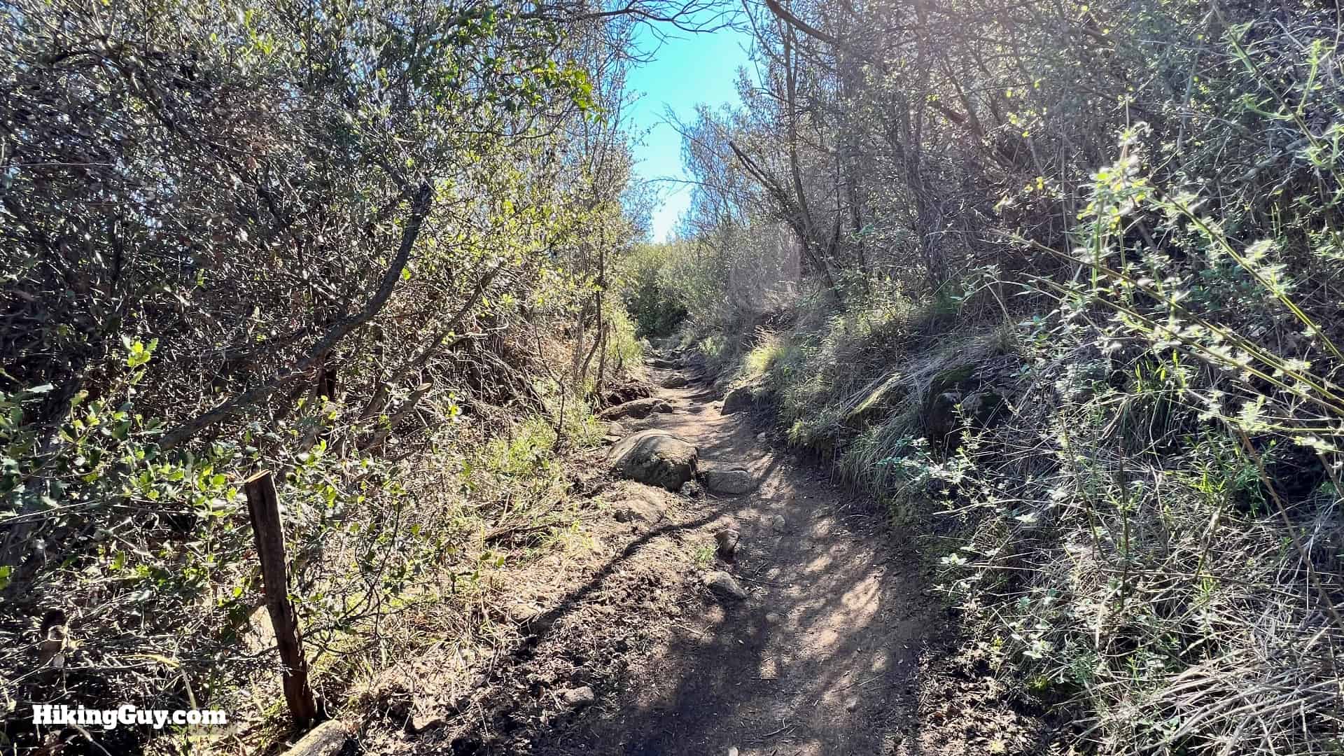 Sitton Peak Hike Update 19