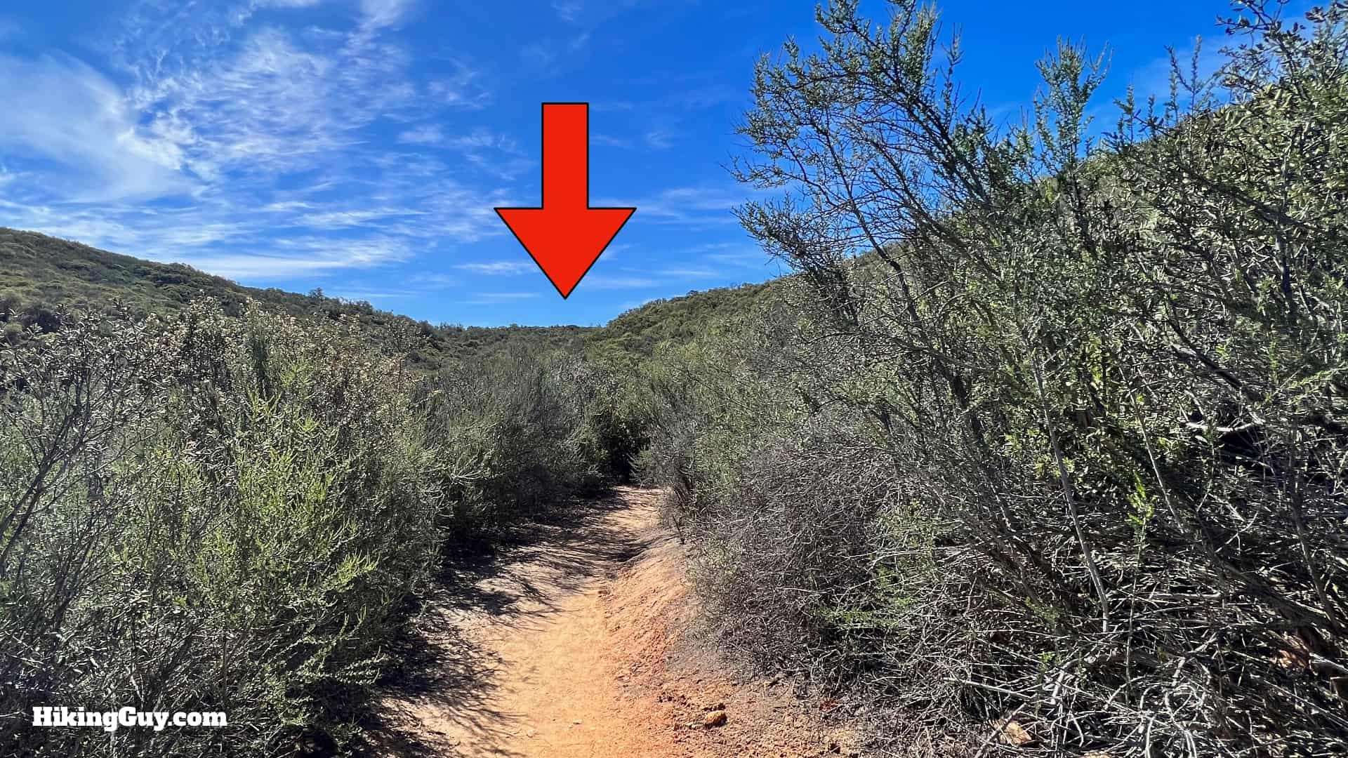 Sitton Peak Hike Update 20