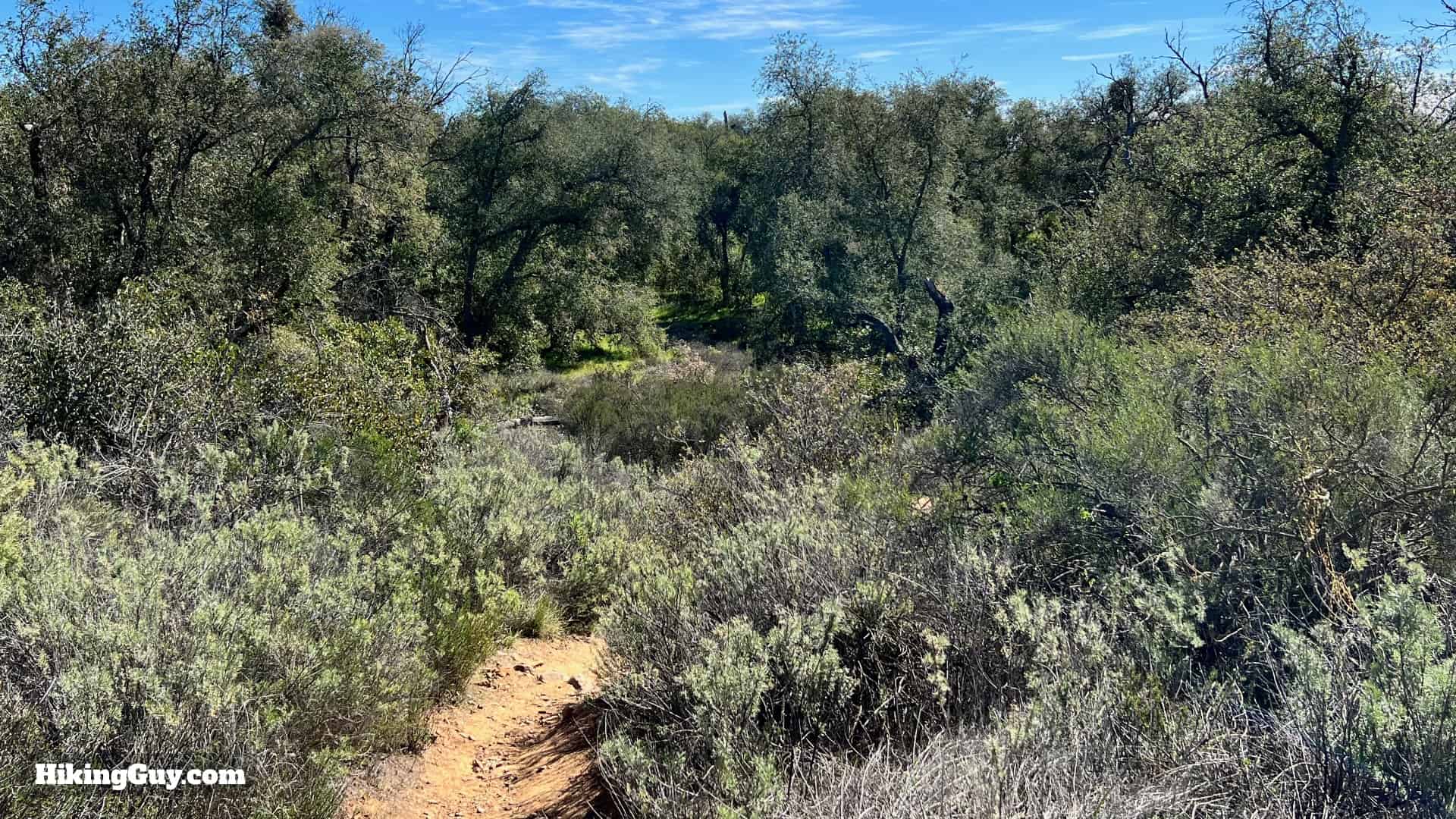 Sitton Peak Hike Update 23