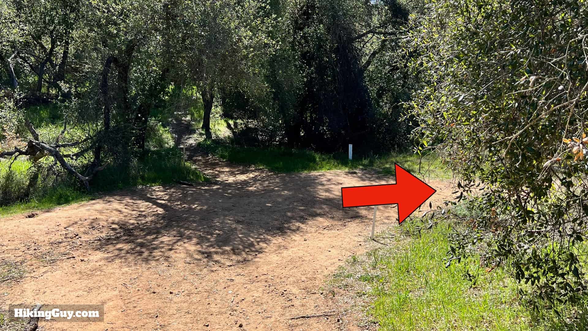 Sitton Peak Hike Update 24