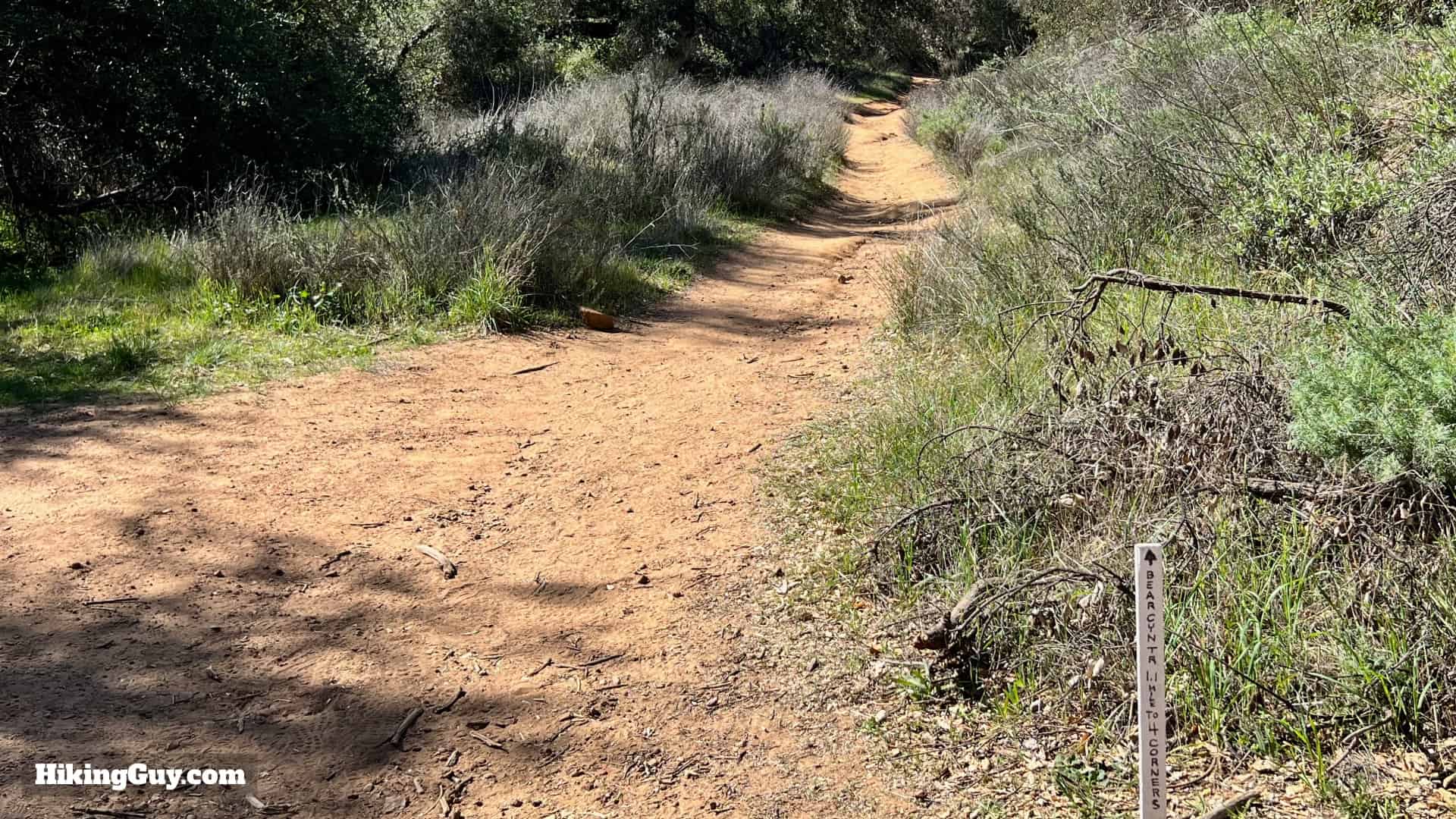 Sitton Peak Hike Update 25