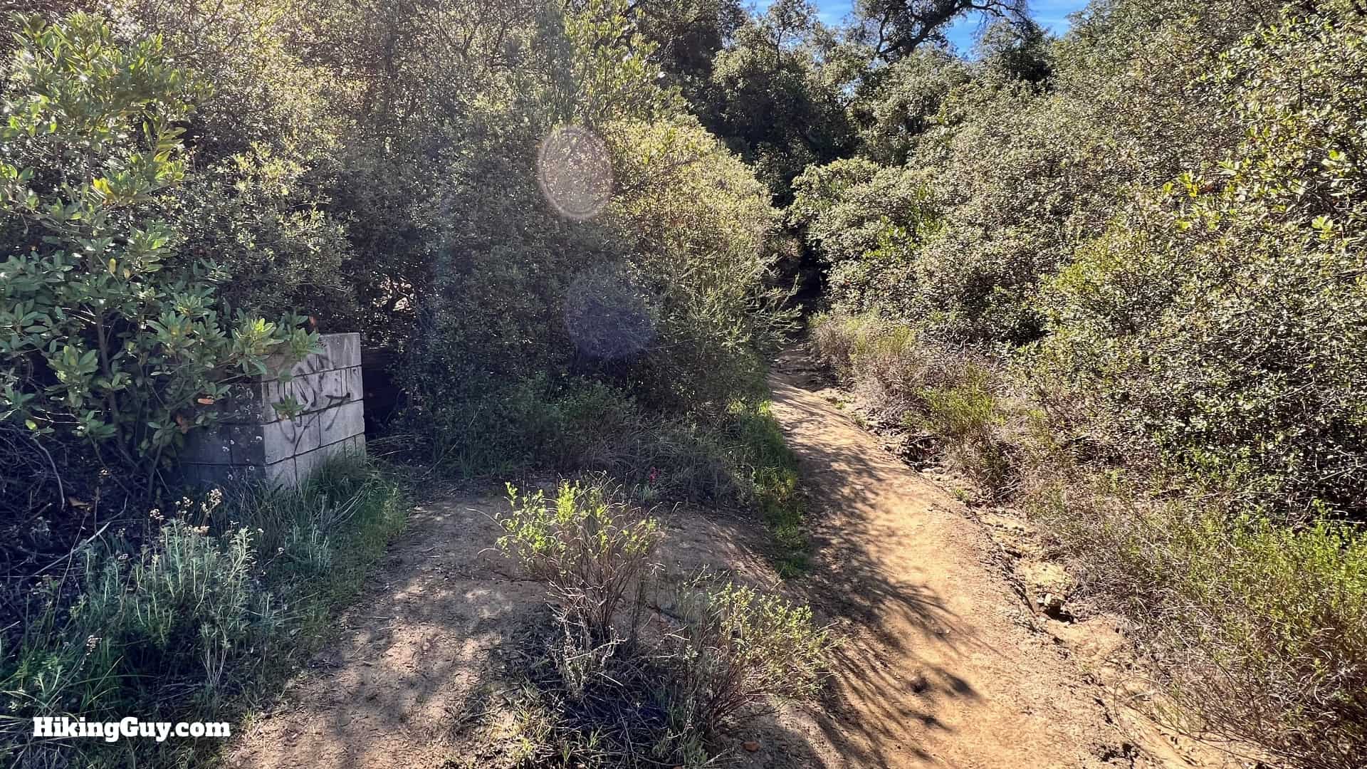 Sitton Peak Hike Update 27