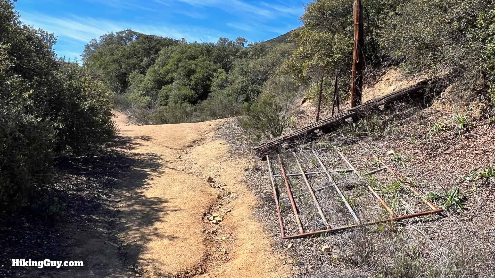 Sitton Peak Hike Update 28