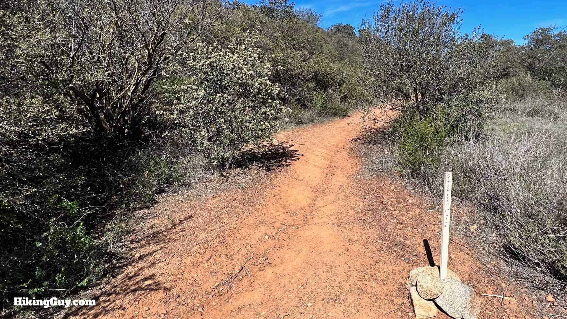 Sitton Peak Hike Update 31