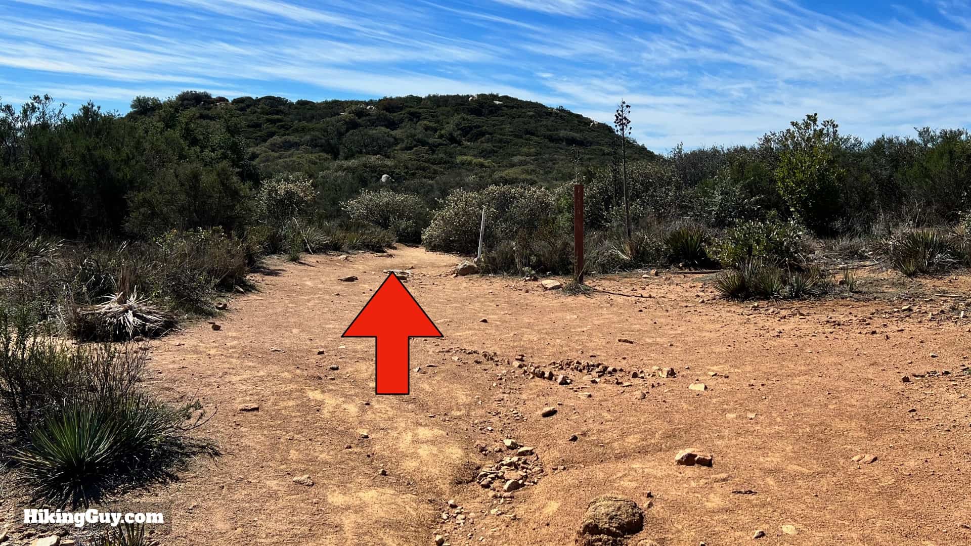 Sitton Peak Hike Update 33