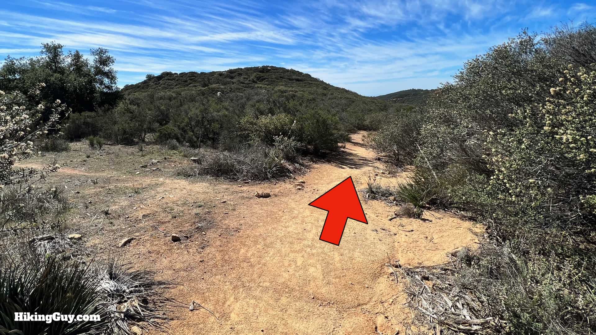 Sitton Peak Hike Update 34