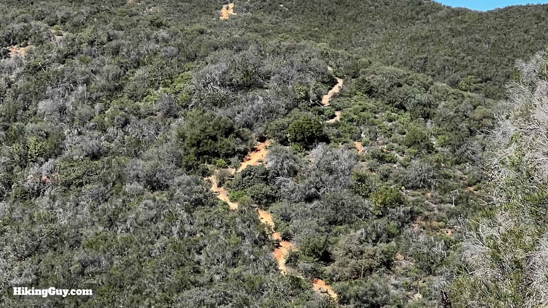 Sitton Peak Hike Update 36