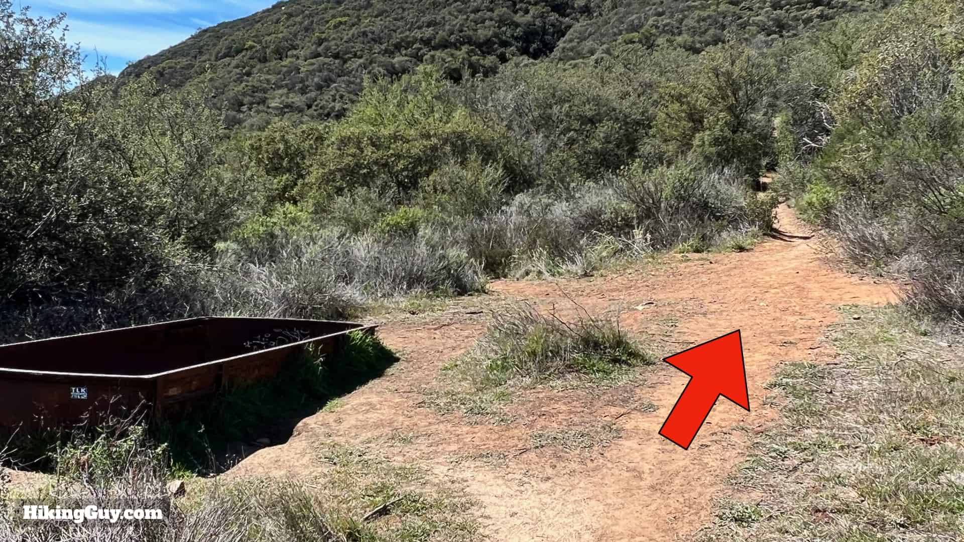 Sitton Peak Hike Update 37