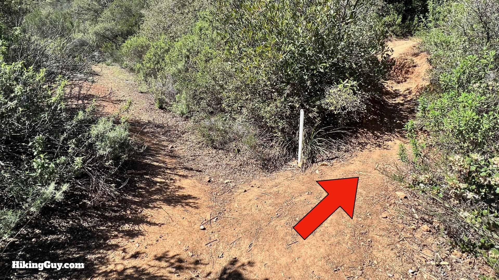 Sitton Peak Hike Update 39