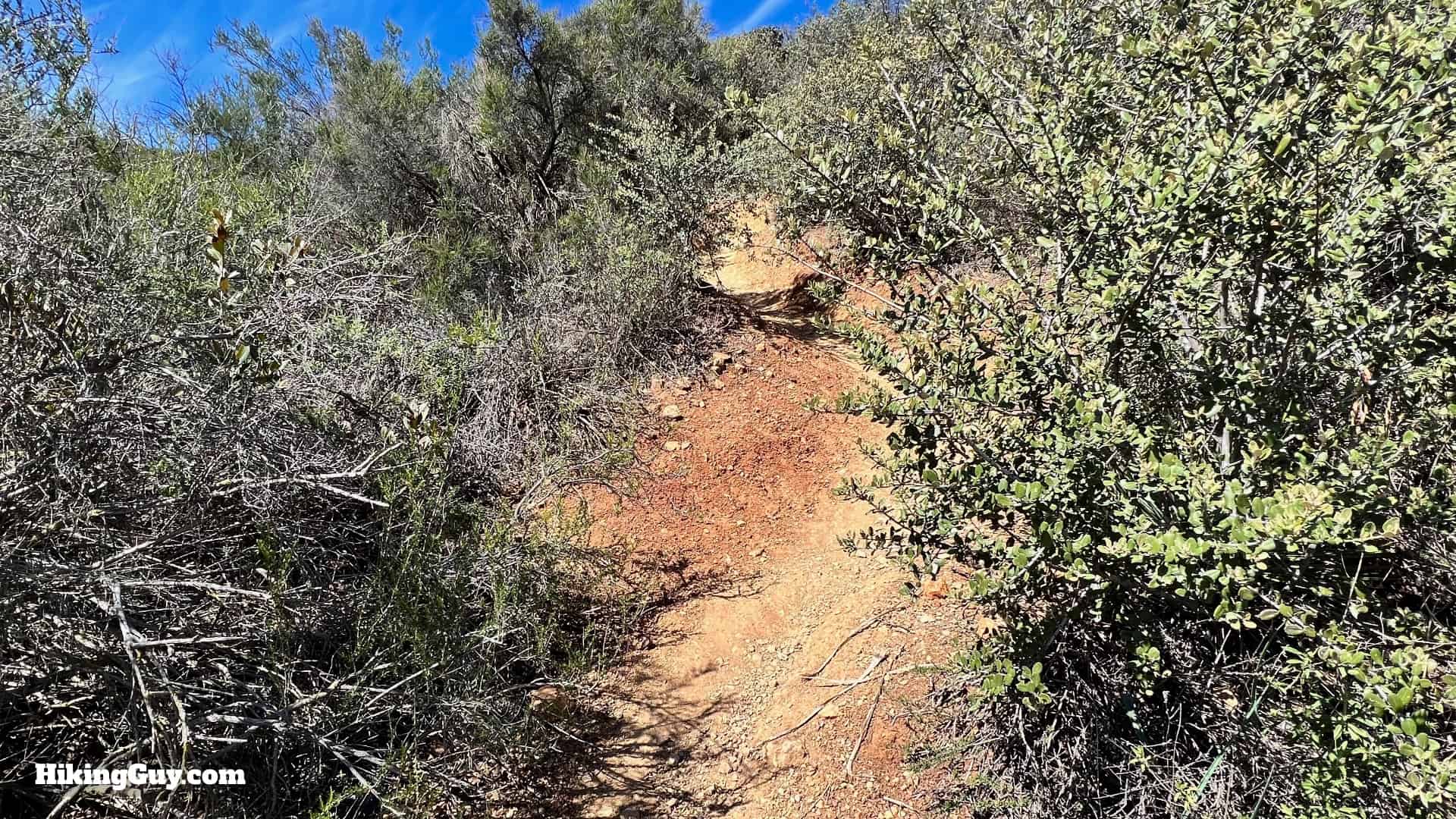 Sitton Peak Hike Update 40