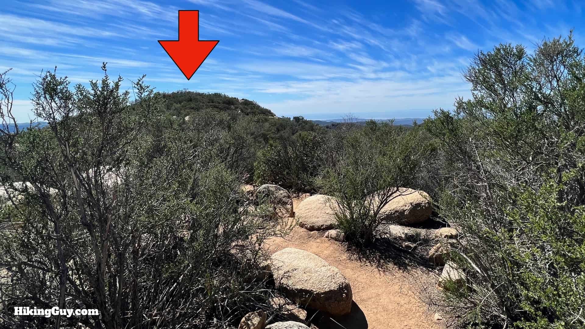 Sitton Peak Hike Update 41