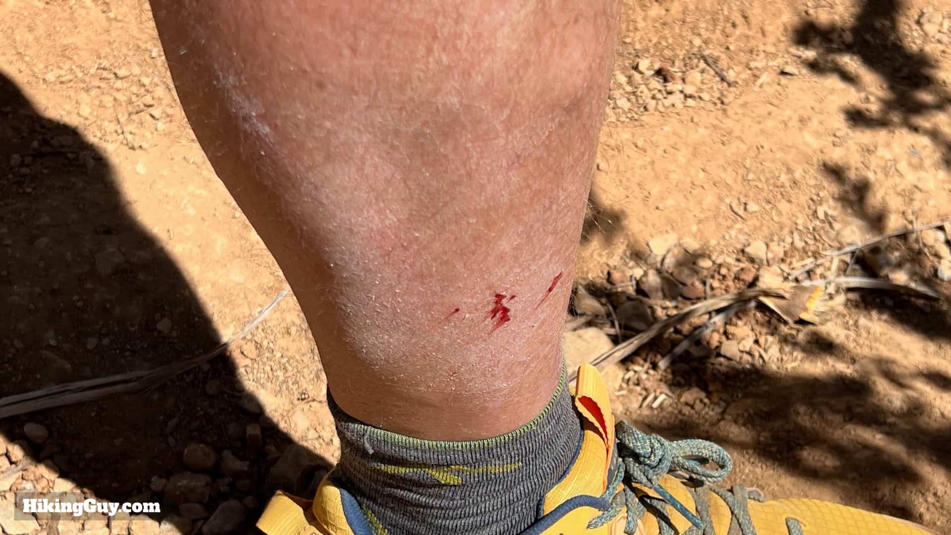 Sitton Peak Long Pants