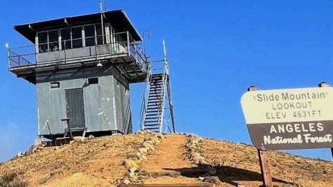 Slide Mountain Lookout Hike