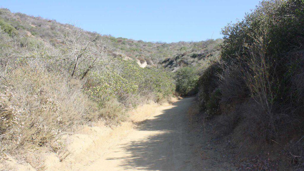 Slow N’ Easy trail