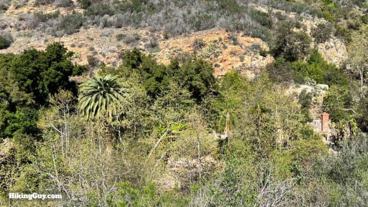 Solstice Canyon Hike Directions 25