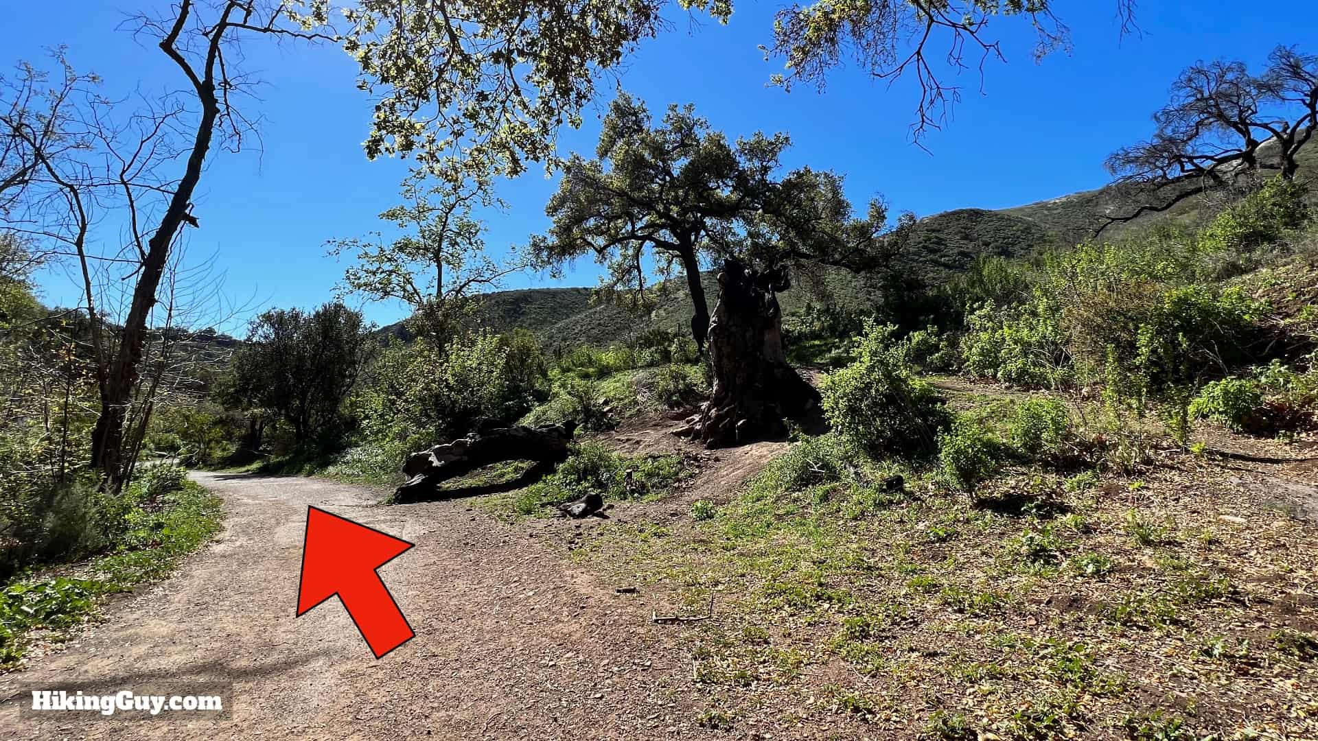 Solstice Canyon Hike Directions 39