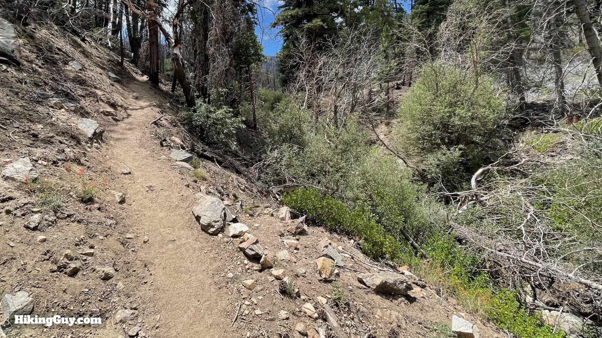 South Fork Trail Directions 10