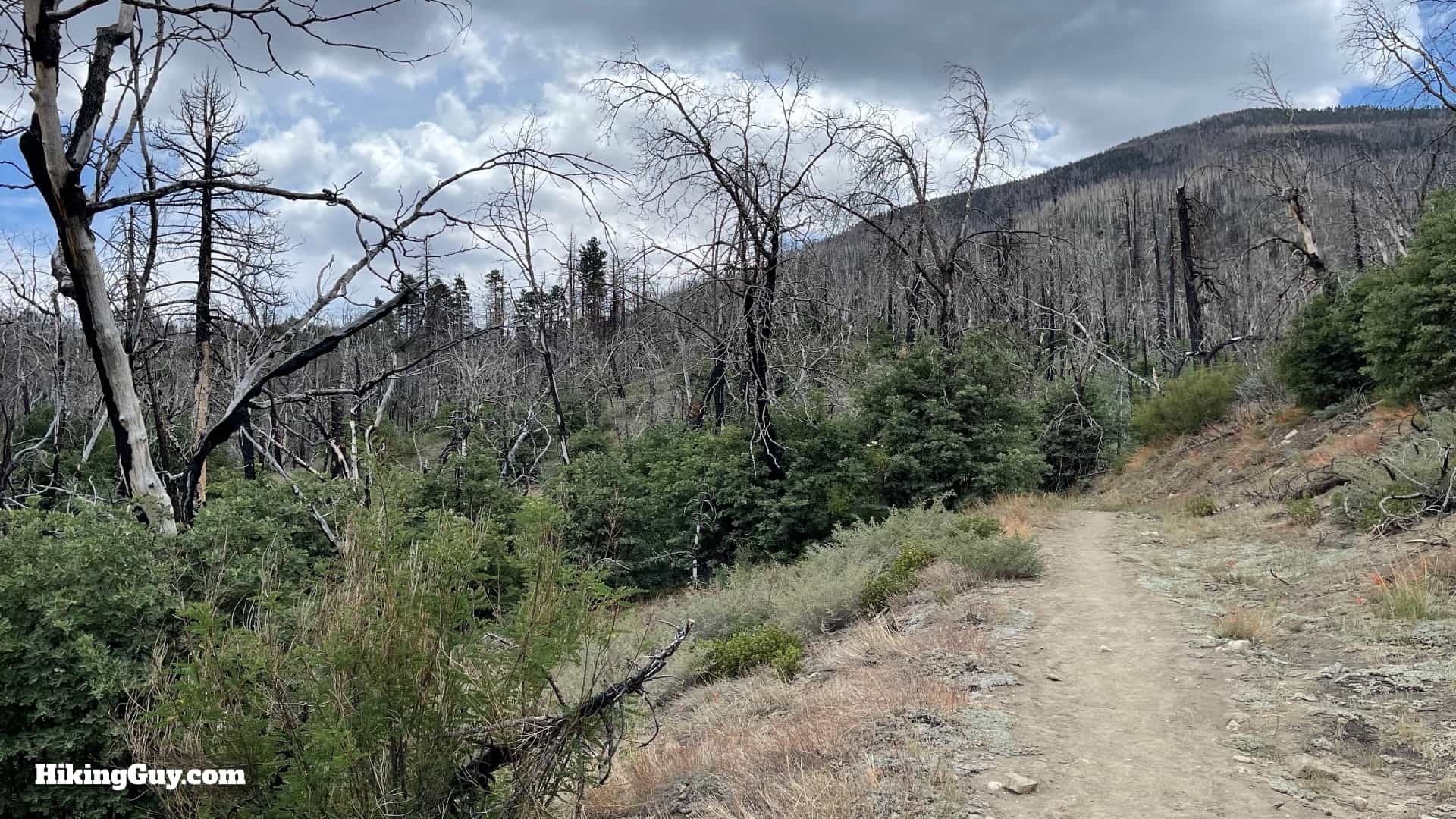 South Fork Trail Directions 11