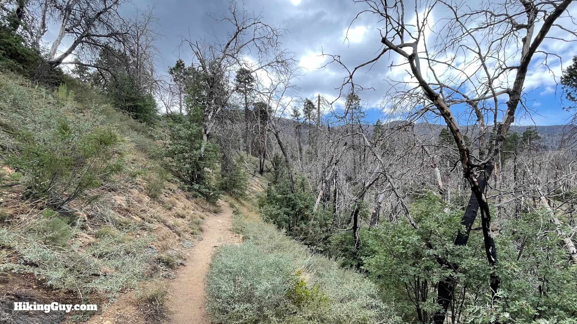 South Fork Trail Directions 12