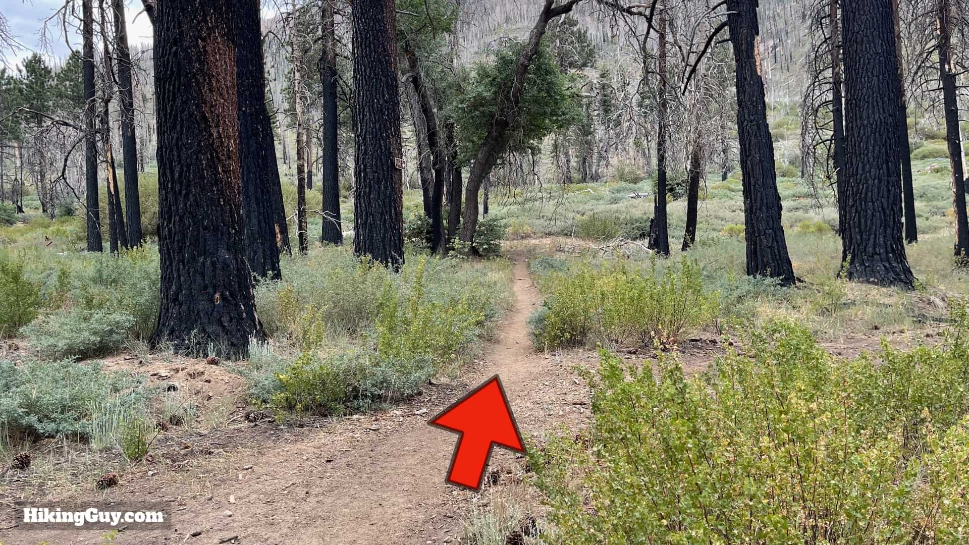 South Fork Trail Directions 15