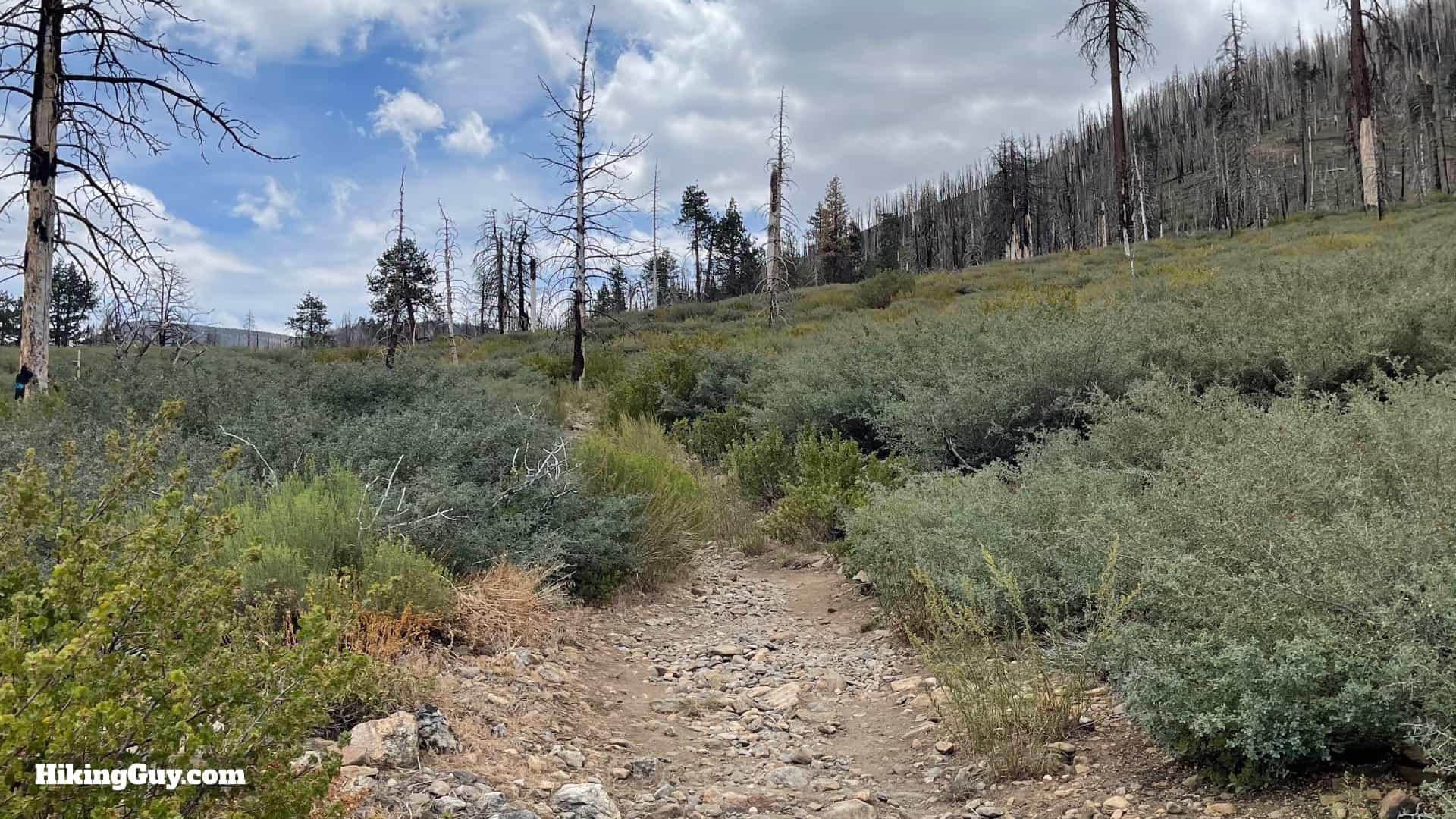 South Fork Trail Directions 16