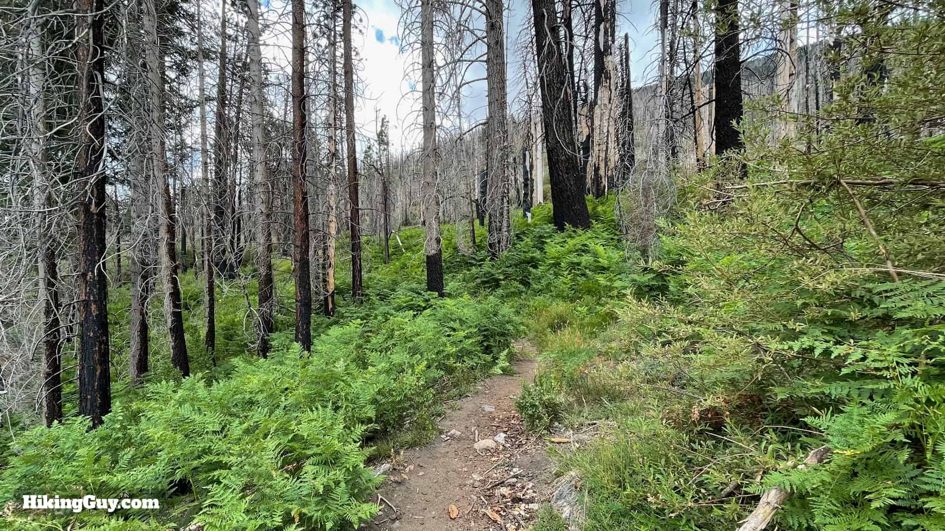 South Fork Trail Directions 18