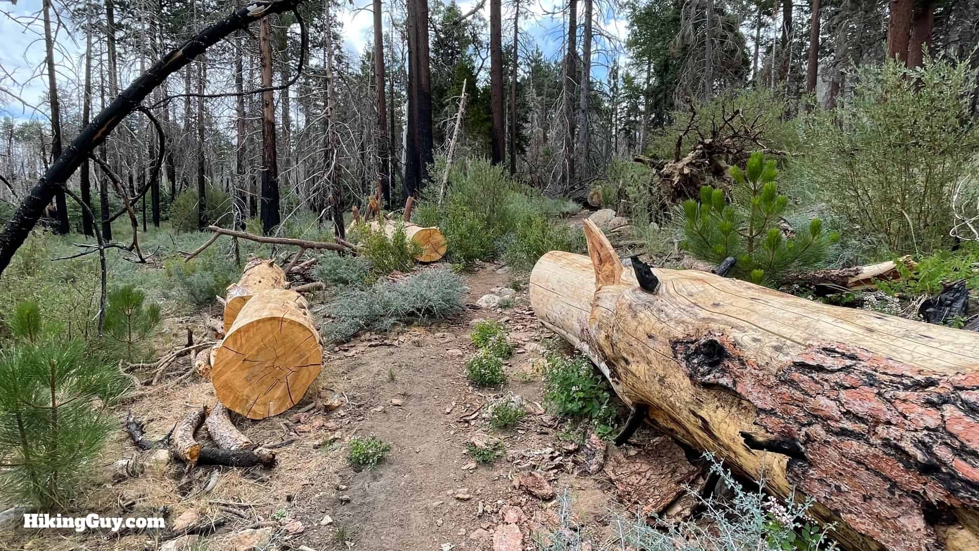 South Fork Trail Directions 2