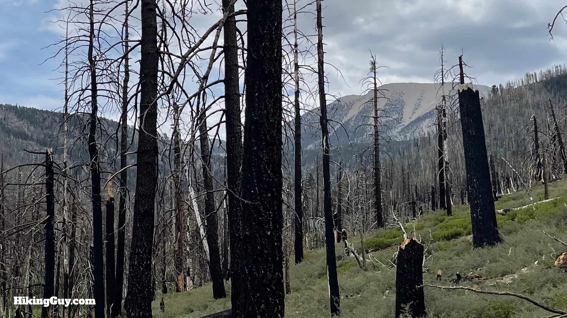 South Fork Trail Directions 23