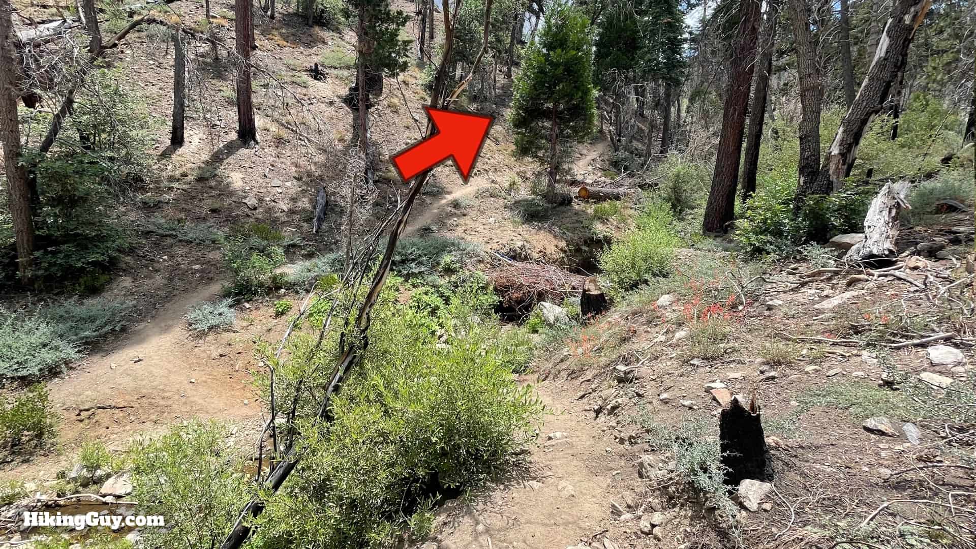 South Fork Trail Directions 9