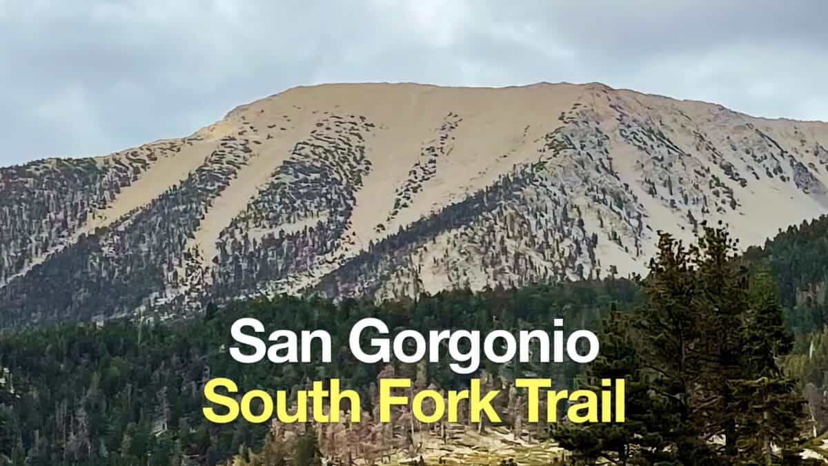 South Fork Trail to San Gorgonio Mountain