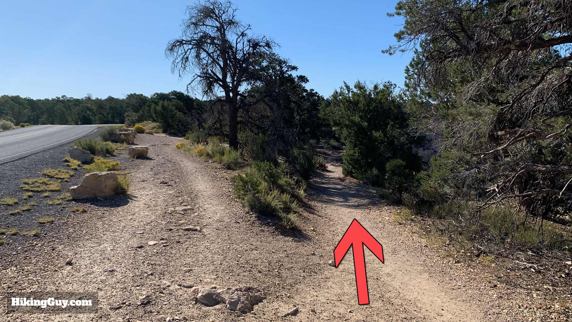 South Rim Trail To Hermits Rest 41