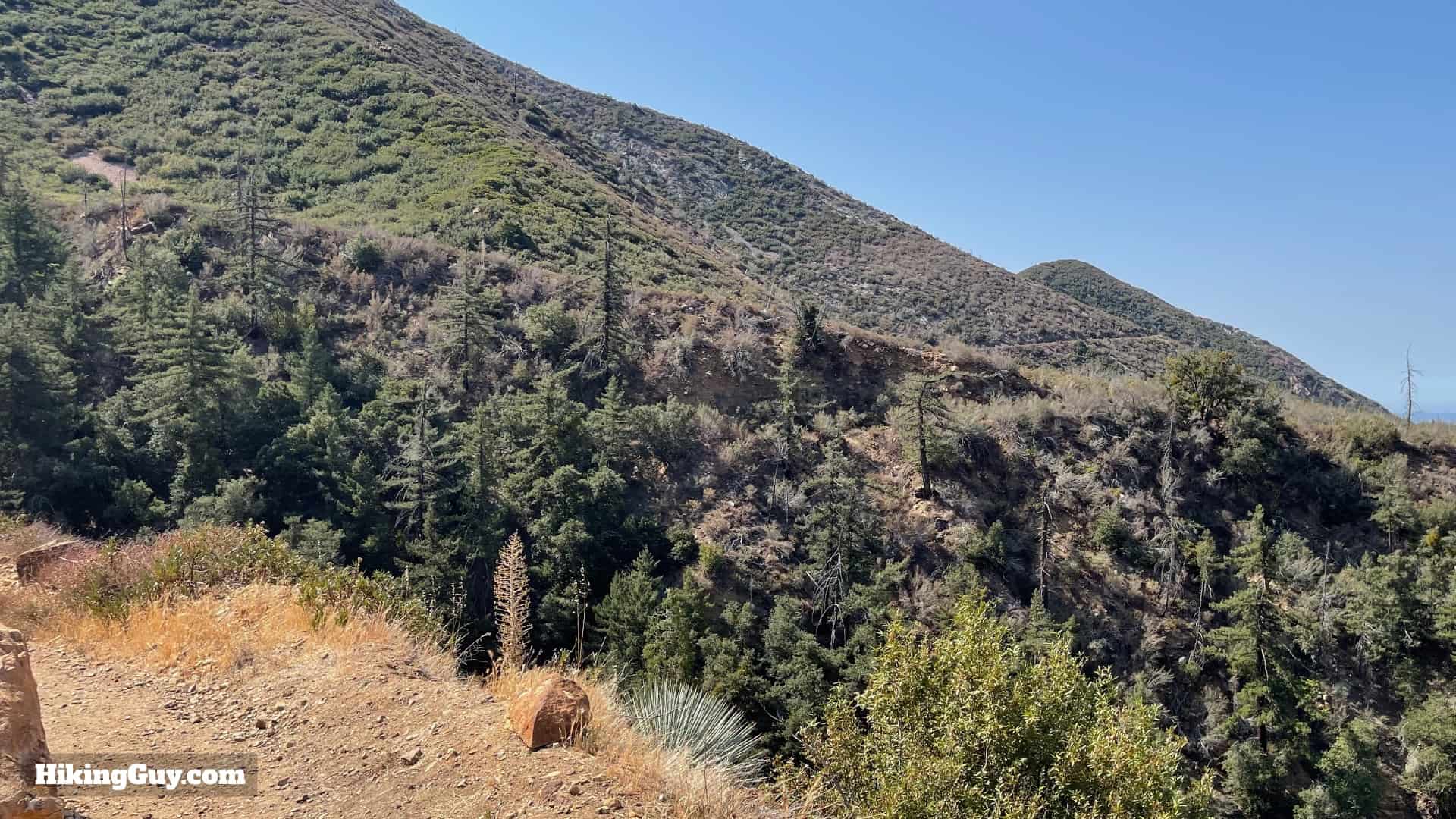 Stoddard Peak Hike Directions 15