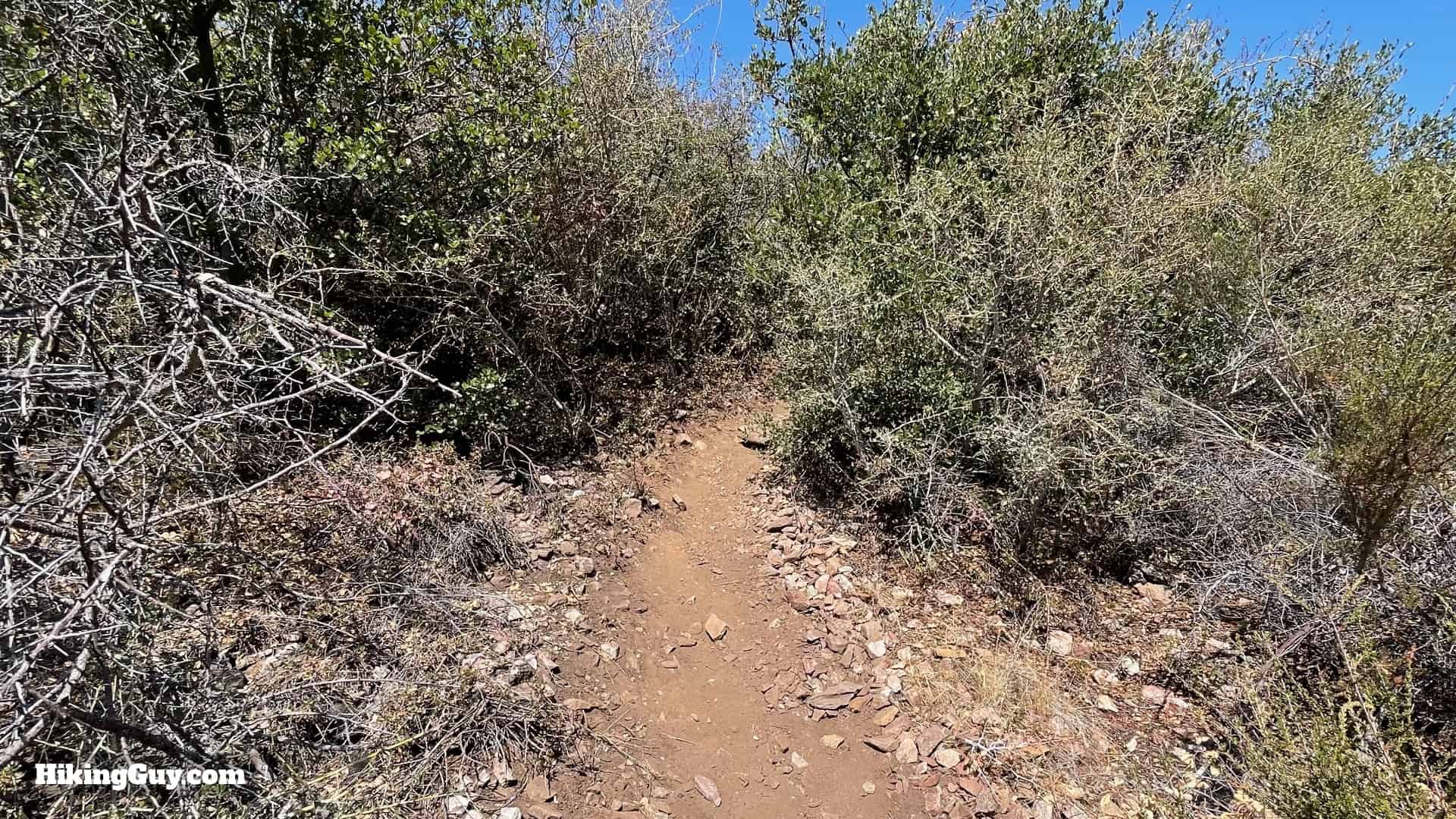 Stoddard Peak Hike Directions 18