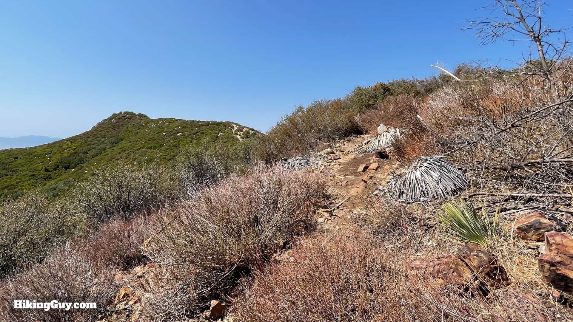 Stoddard Peak Hike Directions 19