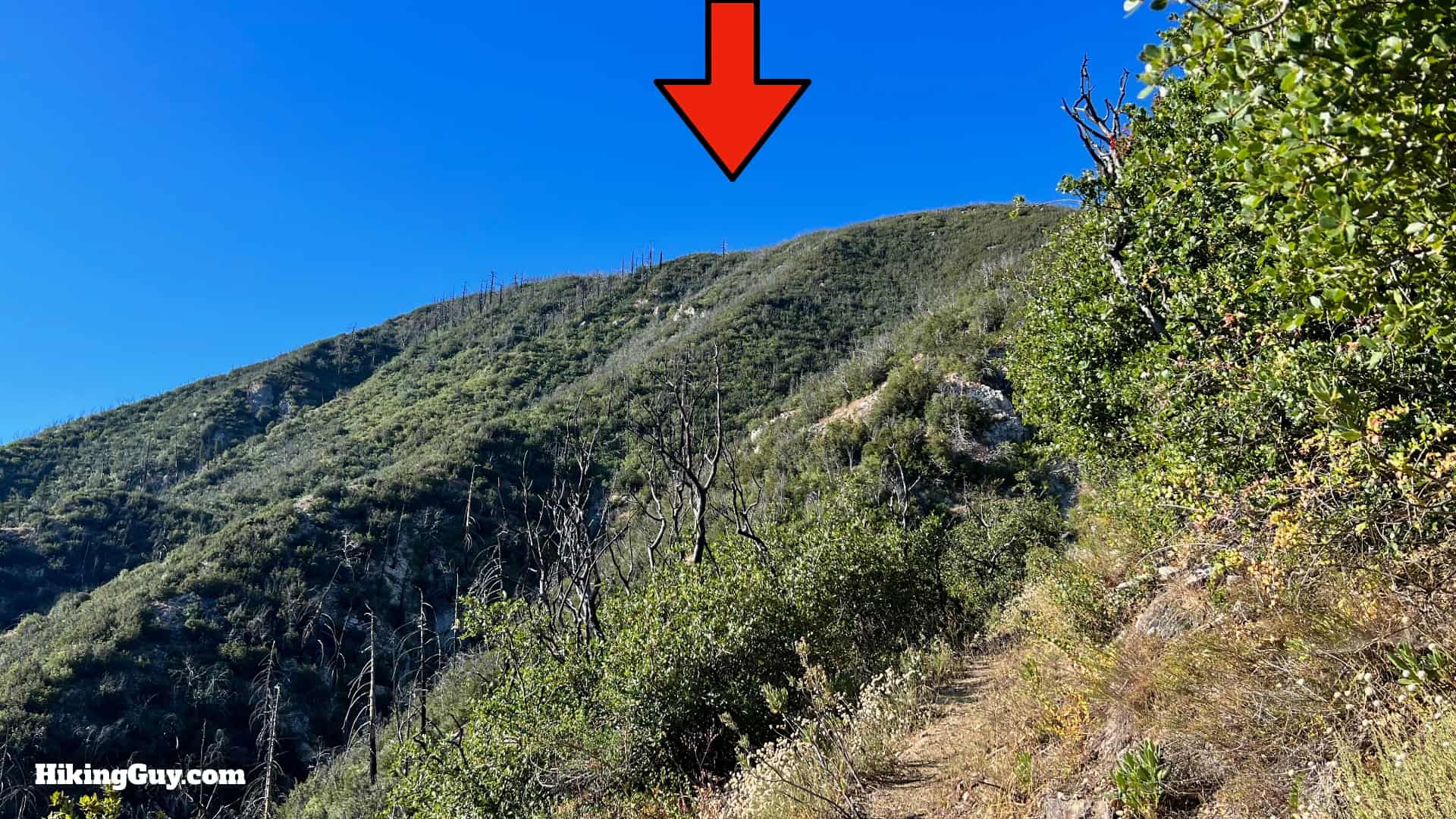 Stone Canyon Trail To Mt Lukens Loop Directions 23