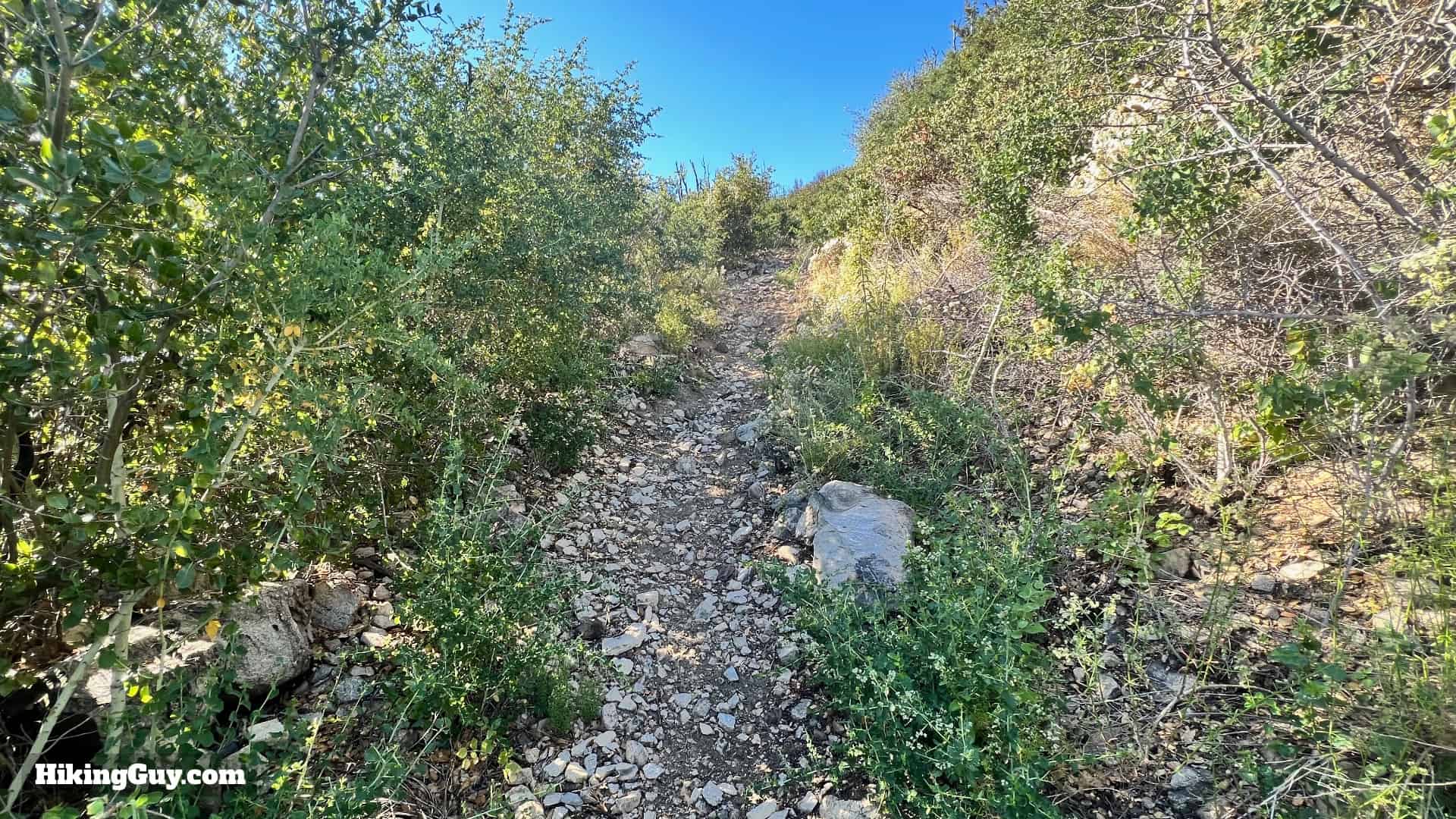 Stone Canyon Trail To Mt Lukens Loop Directions 27