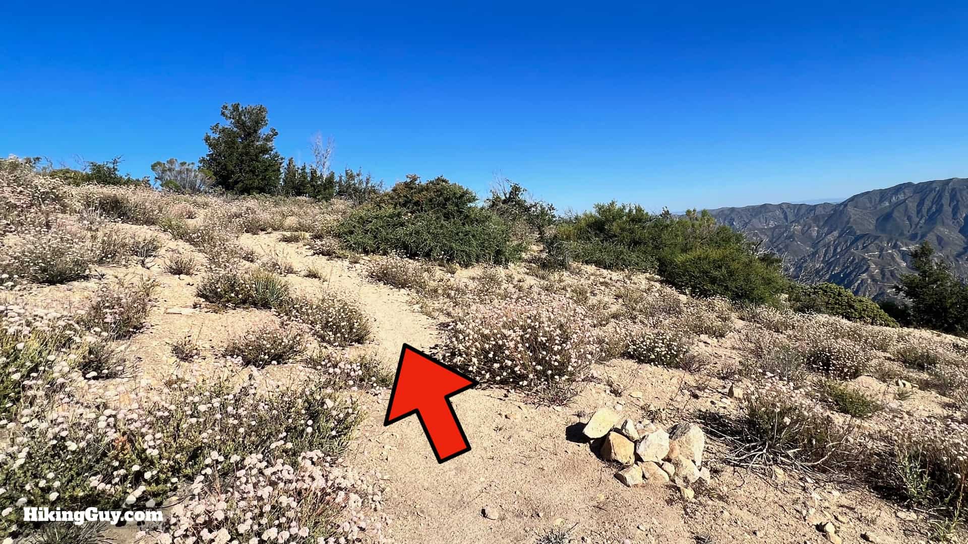 Stone Canyon Trail To Mt Lukens Loop Directions 28