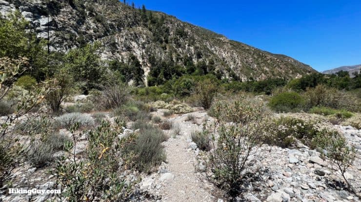 Stone Canyon Trail To Mt Lukens Loop Directions 63